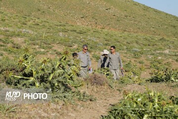 فعالیت و کاوش های معدنی در مناطق حفاظت شده قروه ممنوع است