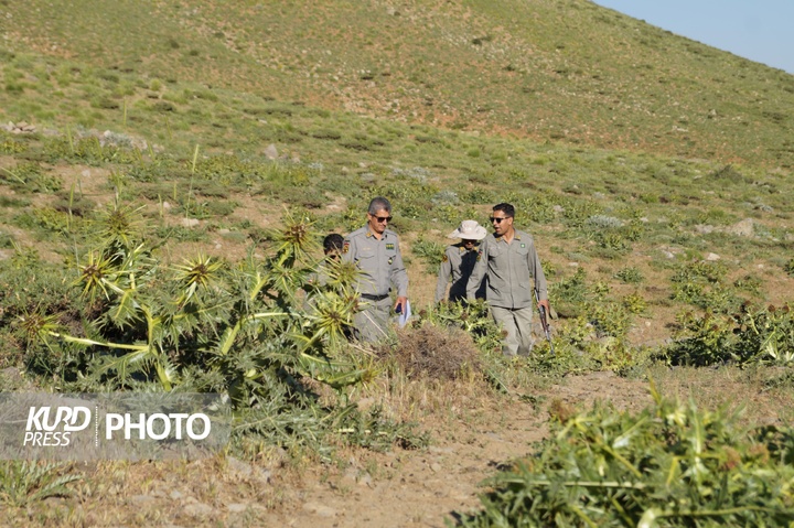 بدر پریشان