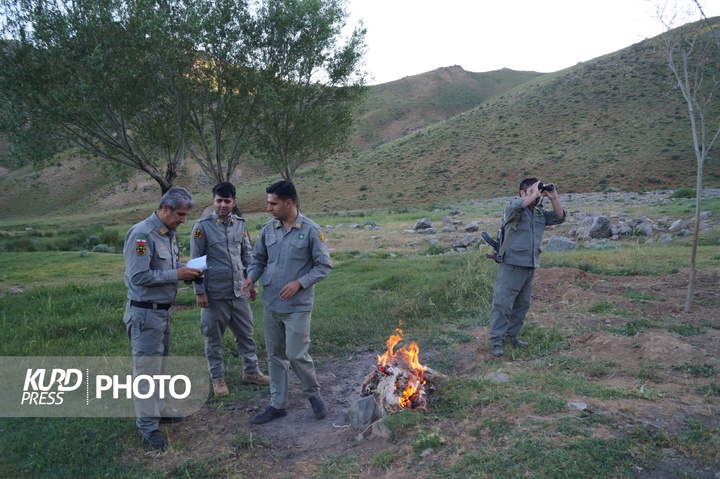 بدر پریشان