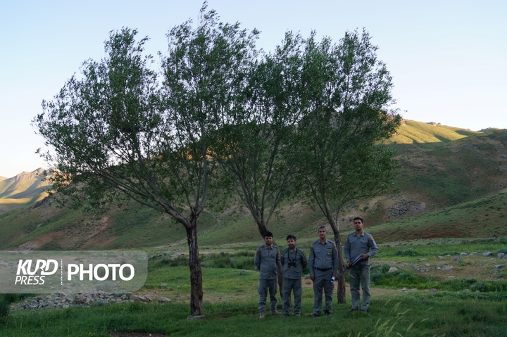 بدرپریشان