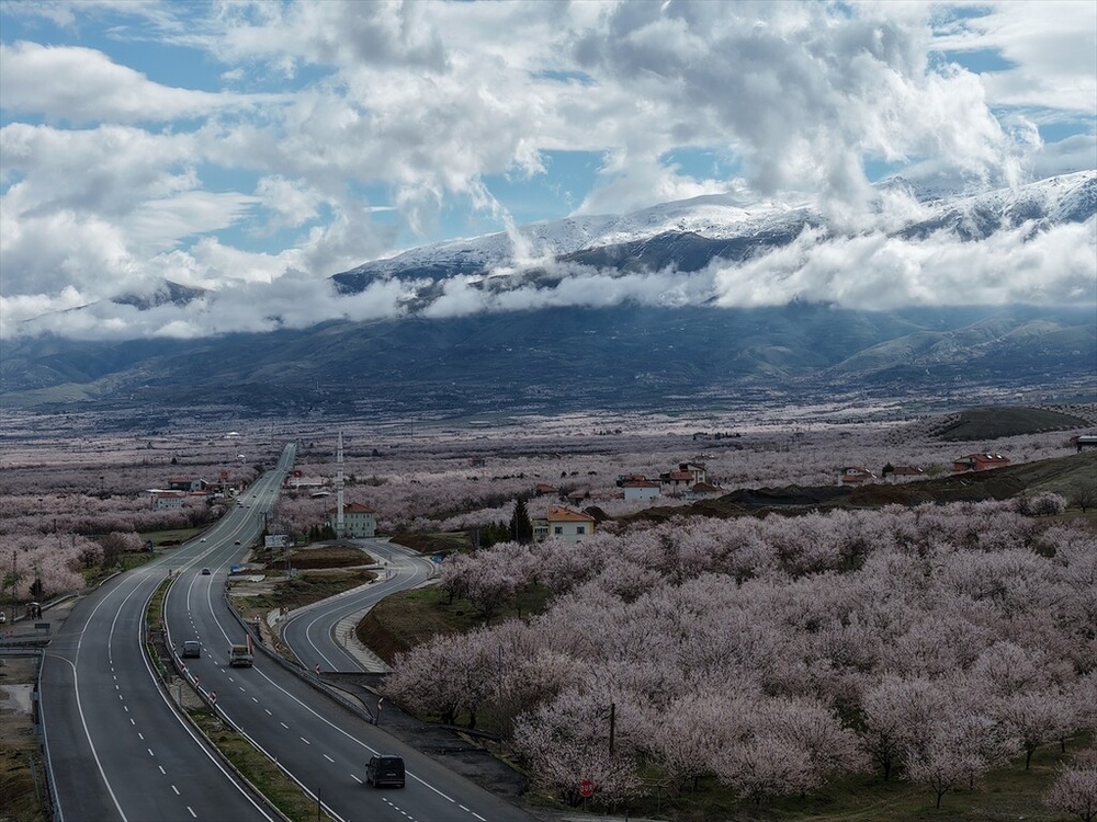 چهارفصل بهشت زردآلوی جهان در کردستان ترکیه + تصاویر