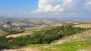 ربوده شدن یک جوان در عفرین همزمان با ادامه تصرف املاک ساکنان بومی