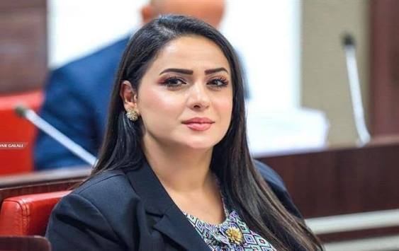 نماینده نسل نو: حزب دمکرات دچار اختلال روانی شدە است
