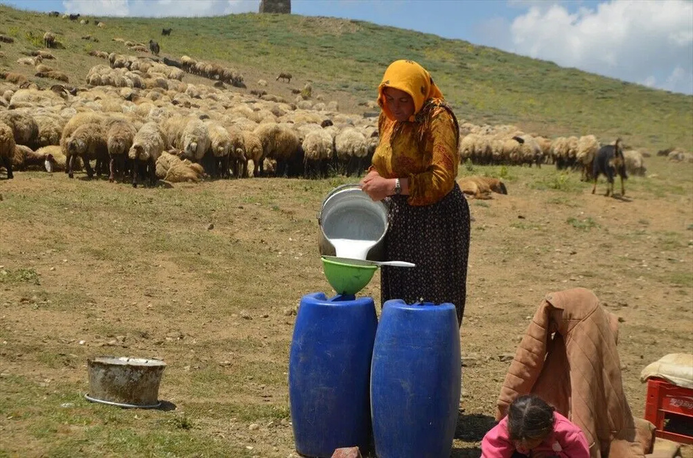 تصاویر کوچ‌نشینان کُرد در دامنه‌های برفی و زیبای کوه کورتیک کردستان ترکیه
