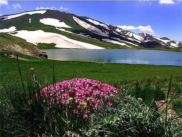 دالانپر؛ میراثی در معرض نابودی!/ شفیع بهرامیان