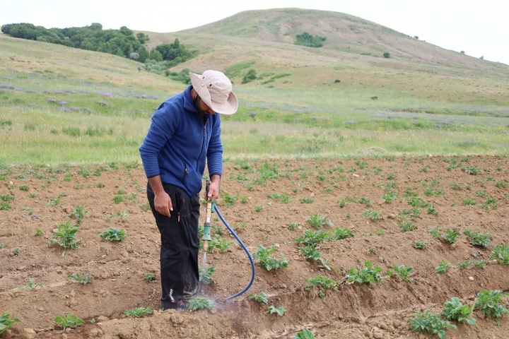 Kurdish engineer's attempt to revive agriculture in a village that was not allowed to cultivate for years