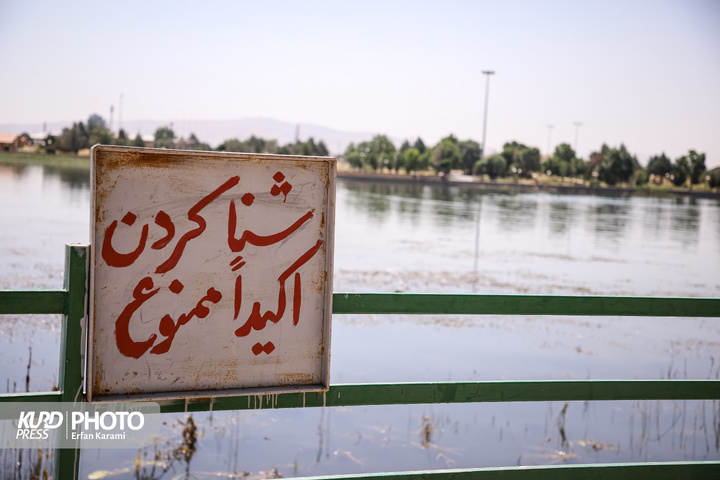 سراب نیلوفر؛ بهشتی چشم نواز در انتظار توجه مسئولان / عکاس : عرفان کرمی