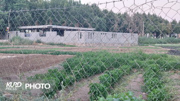 «تبدیل به احسن» در اراضی موقوفه «شاطری» انجام نگرفته/شهرداری ٤ سال قبل برگ ضوابط صادر کرده بود
