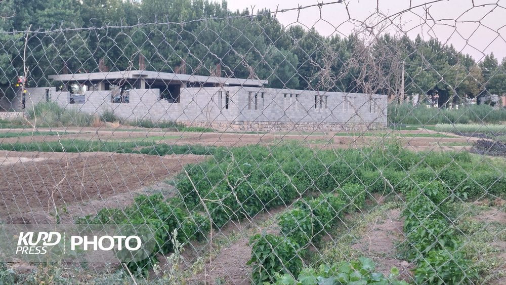 «تبدیل به احسن» در اراضی موقوفه «شاطری» انجام نگرفته/شهرداری ٤ سال قبل برگ ضوابط صادر کرده بود