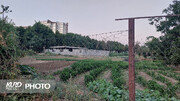 پشت پرده ساخت و ساز در باغ موقوفه عزیزآقای مهاباد؛ از وعده سازه سبک تا بنای تجاری در قلب فضای سبز شهری**
