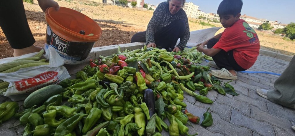 «باغ زنان» در ریحا؛ الگویی برای تولید جمعی و استقلال اقتصادی زنان + فیلم