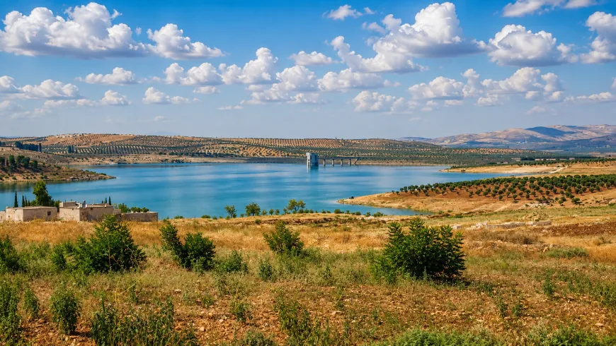 تصاویر تابستانی از طبیعت عفرین؛ دشت‌های زیتون و سد میدانکی در قاب دوربین
