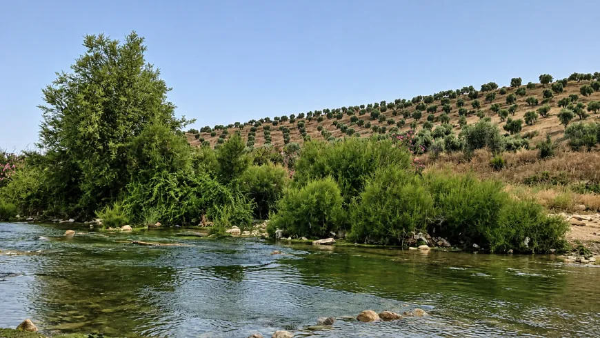 تصاویر تابستانی از طبیعت عفرین؛ دشت‌های زیتون و سد میدانکی در قاب دوربین