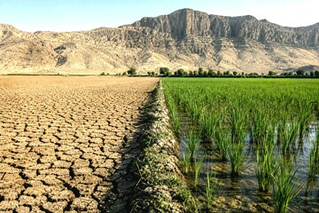 زنگ‌ها برای شرق کرمانشاه به صدا درآمده‌اند