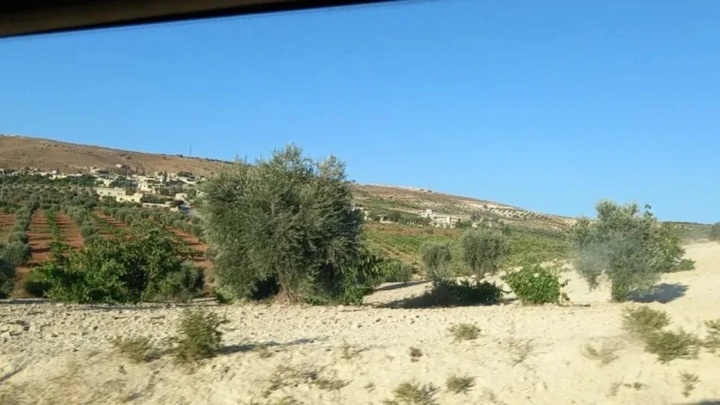 اخاذی ۳۵ درصدی از محصولات کشاورزان عفرین