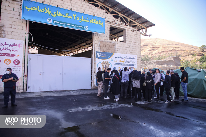 مرکز جمع‌آوری سگ‌های بلاصاحب شهرداری سنندج/ عکاس :عرفان کرمی