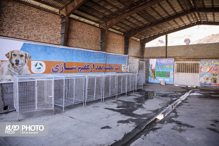 مرکز جمع‌آوری سگ‌های بلاصاحب شهرداری سنندج/ عکاس :عرفان کرمی