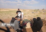 قتل برای قدرت نمایی/ مادر مقتول:پیکر خونین پسرم جلوی چشمانم است +فیلم