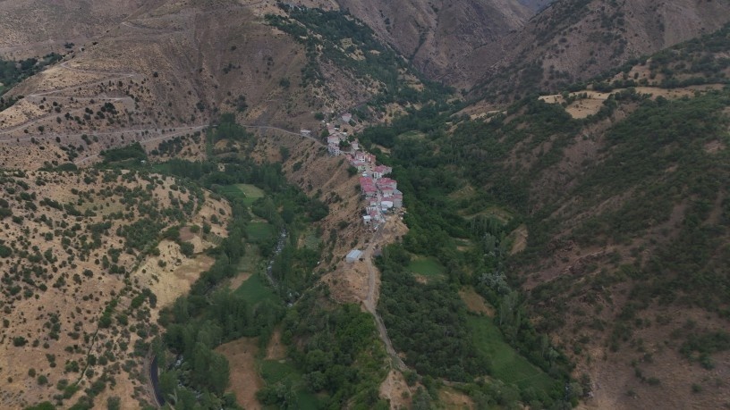 استخوانهایی که سرانجام یکدیگر را در آغوش گرفتند؛ روایت دو برادر که هرگز همدیگر را ندیدند + فیلم