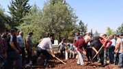 خواهرزاده عبدالله اوجالان، در روستای آماره به خاک سپرده شد + فیلم