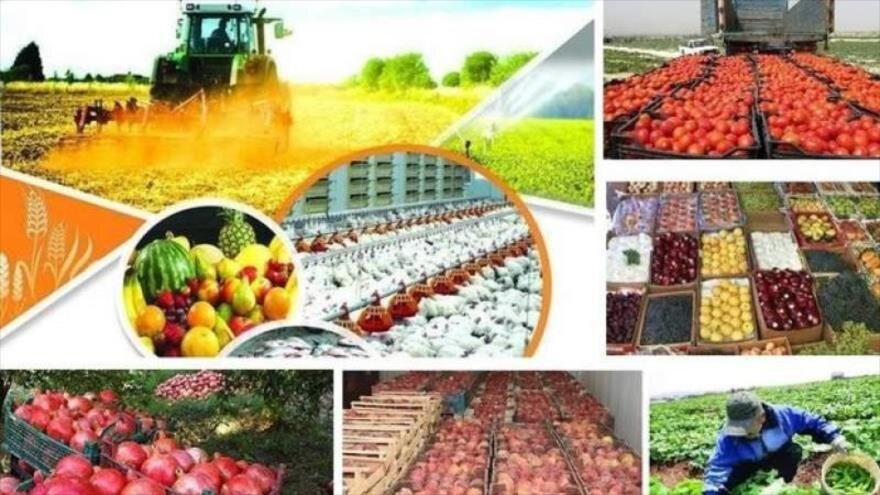 پای لنگ صادرات محصولات کشاورزی در ایران؛ تولید داخلی با برند خارجی!