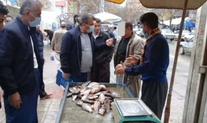 فروشندگان سیار ماهی در مریوان جمع آوری شدند