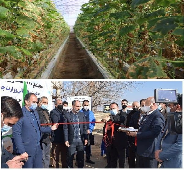 وزیر جهاد کشاورزی دو طرح کشاورزی بوکان و میاندوآب را افتتاح کرد
