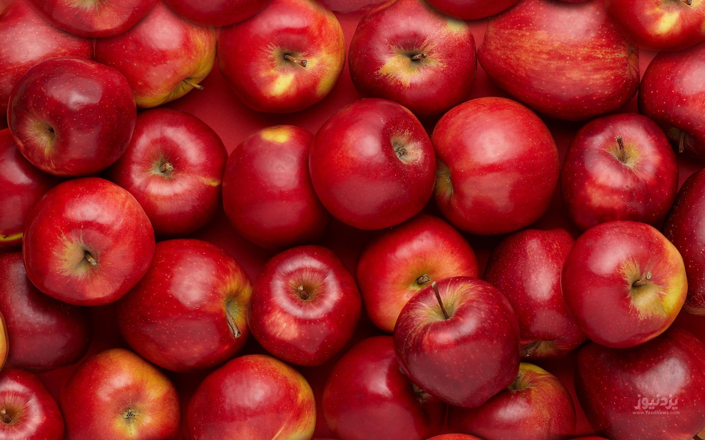ارزآوری ۷۶۴ میلیون دلاری صادرات سیب درختی در ۹ ماهه سال جاری