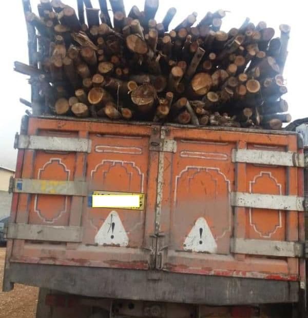 20 تن چوب قاچاق در گیلانغرب کشف شد