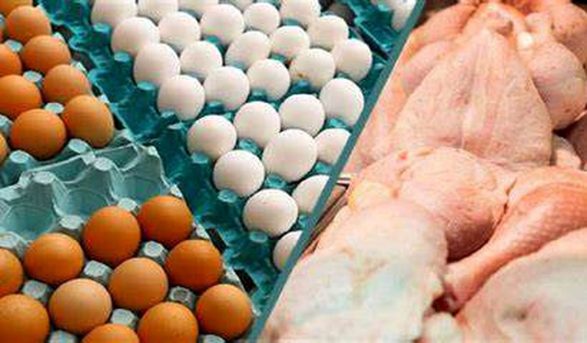 فروش مرغ و تخم مرغ خارج از قیمت مصوب غیر قانونی است