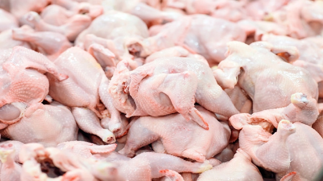 افزایش 4 هزار تومانی قیمت مرغ در سنندج پس از سه روز نایاب شدن