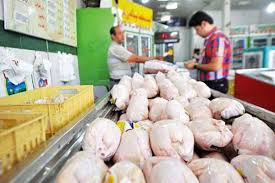 معمای پیچیده فاصله قیمت  از مرغداری تا مصرف کننده/ سود مرغ تنها به جیب «لاشه خران» می رود
