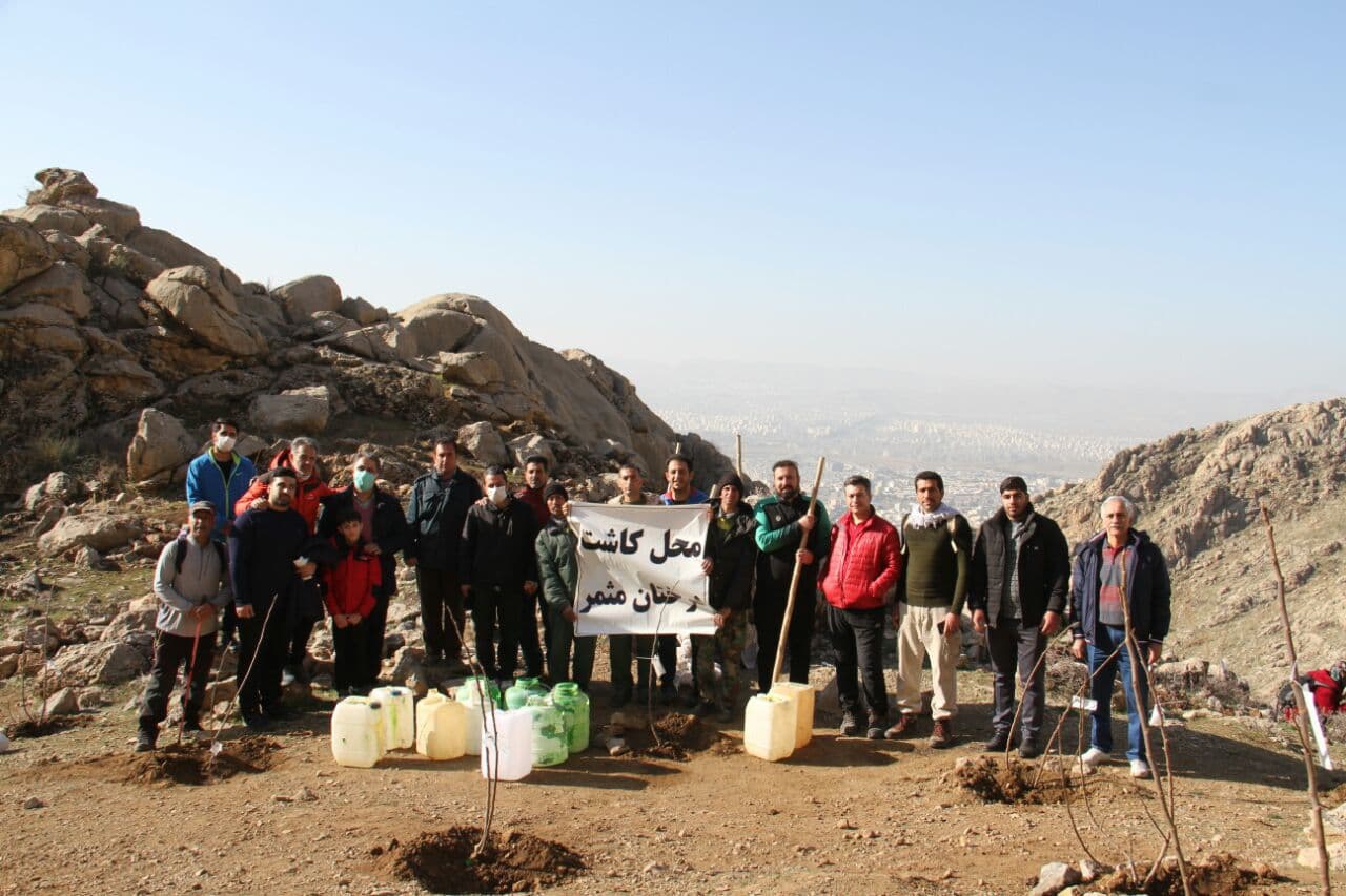 آغاز برنامه کاشت نهال های بومی مثمر در ارتفاعات تاق بستان
