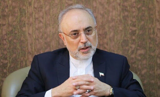 صالحی: هشدار مکتوب تهران به آژانس درباره قطعنامه احتمالی شورای حکام