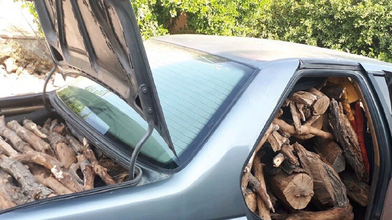 تایید قاچاق چوب با آمبولانس از سوی سازمان جنگل ها