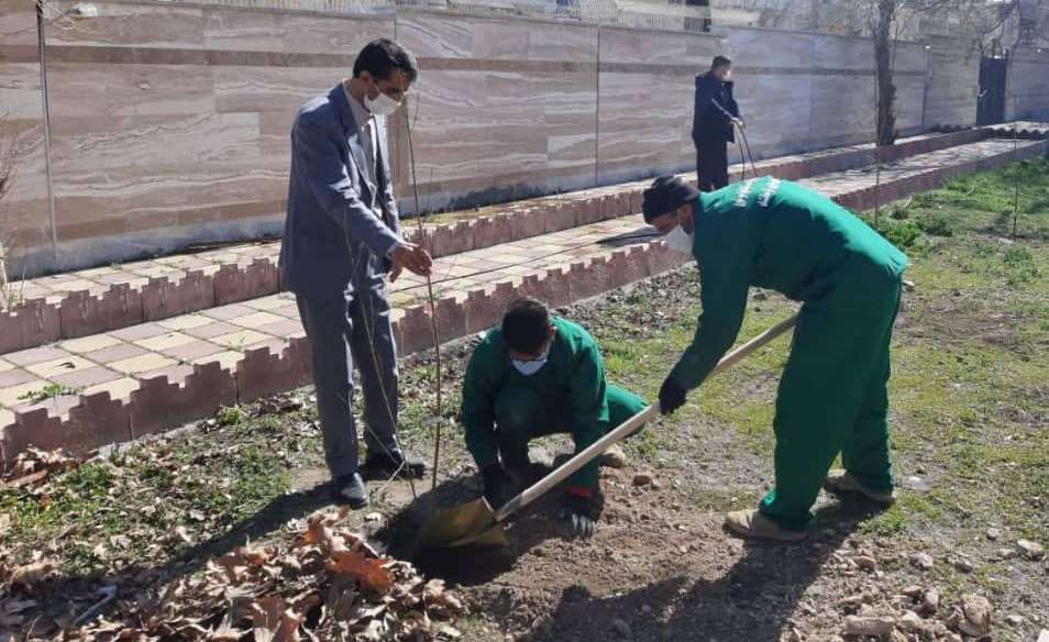 کاشت نهال مهربانی در شیرخوارگاه و سرای سالمندان کرمانشاه