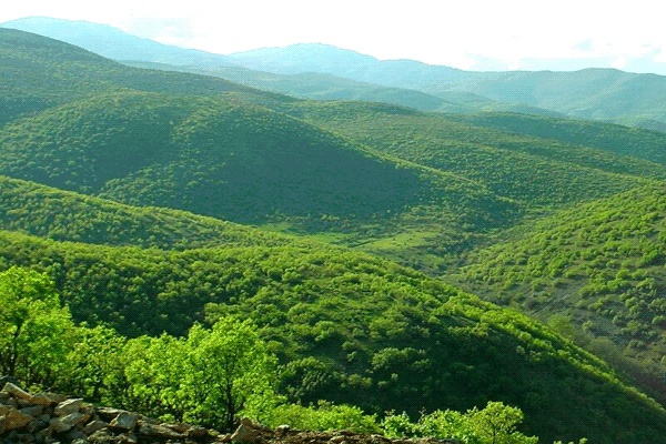 کاهش فرسایش خاک در آذربایجان غربی/ جنگل های زاگرس مانع ورود گرد و خاک اند
