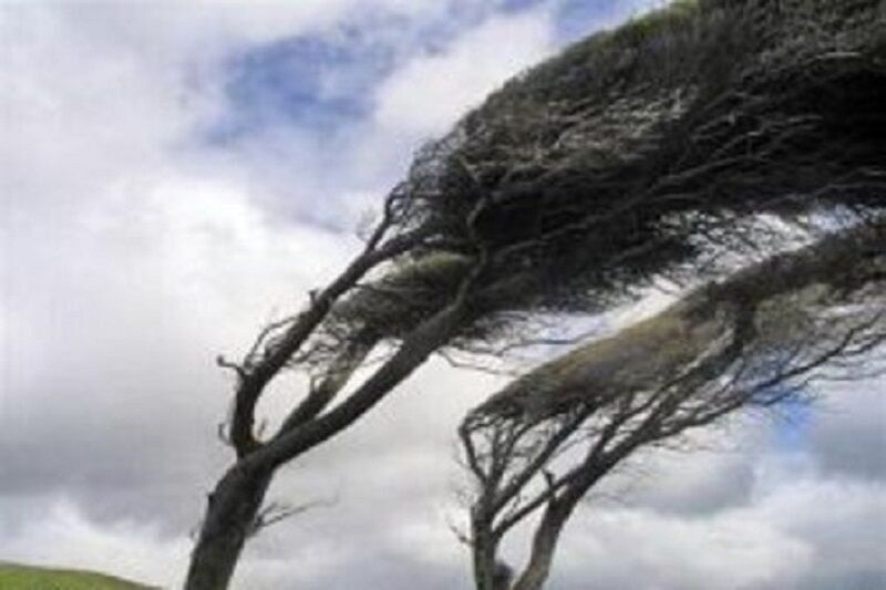 باد شدید با سرعت ۷۶ کیلومتر سقز را درنوردید