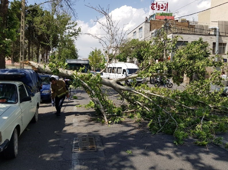 سرعت تندباد در اشنویه به 100 کیلومتر بر ساعت رسید