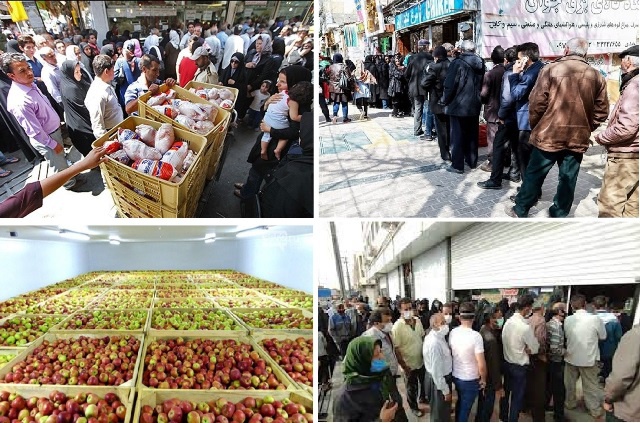 نبود سیستم جامع توزیع مرغ در آذربایجان غربی/۲۵۰ هزار تن سیب در سردخانه ها باقی ماند