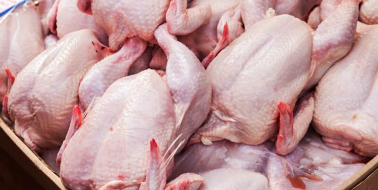 مصرف مرغ در کردستان ناگهان سه برابر شد یا شما یک جای کارتان می لنگد؟