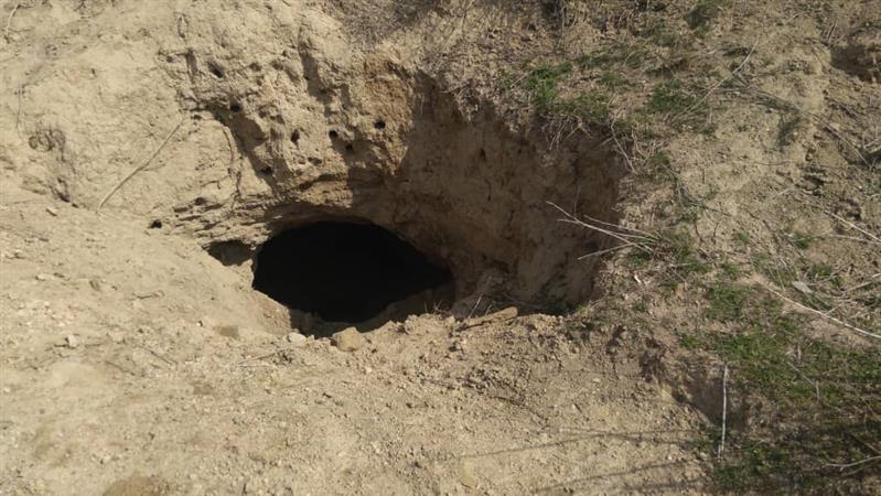 حفاران غیر مجاز در تپه تاریخی ارومیه از چاله به چاه افتاند