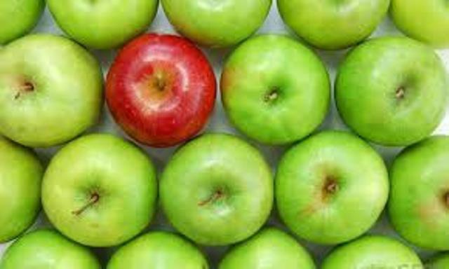 تهدید ۳ میلیارد تومان  سیب انبار شده در سردخانه‌های مهاباد