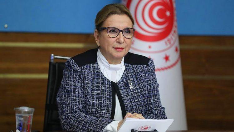وزیر بازرگانی ترکیه به دلیل سوء استفاده از جایگاه برکنار شد
