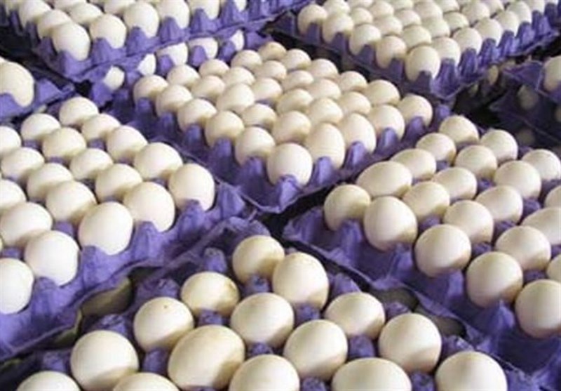 380 کیلوگرم تخم مرغ فاسد در دیواندره کشف و معدوم شد