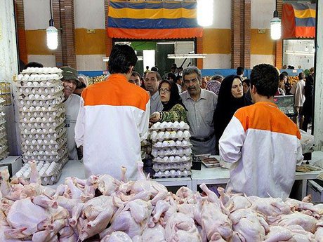 بازار مرغ در ارومیه به ثبات رسید/کمبودی در استان وجود ندارد