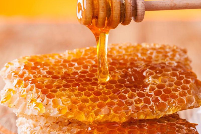 پیش بینی تولید یک‌هزار و ۲۲۰ تن عسل در اشنویه