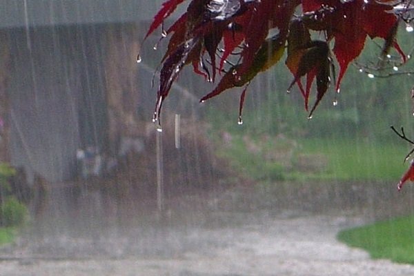 بارش باران در کردستان تا روز چهارشنبه ادامه دارد