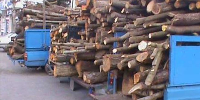 10 تن چوب قاچاق در سنقروکلیایی کشف شد