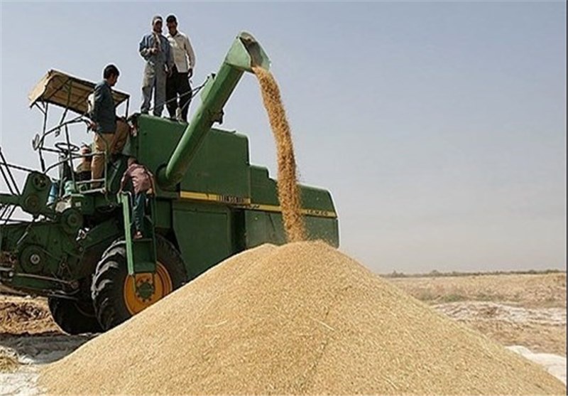 64 مرکز خرید تضمینی گندم در آذربایجان غربی دایر شد